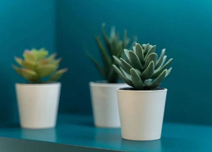 Comfy 4-5th Floor Hanza Tower - Sauna & Pool Apartamento Estetino